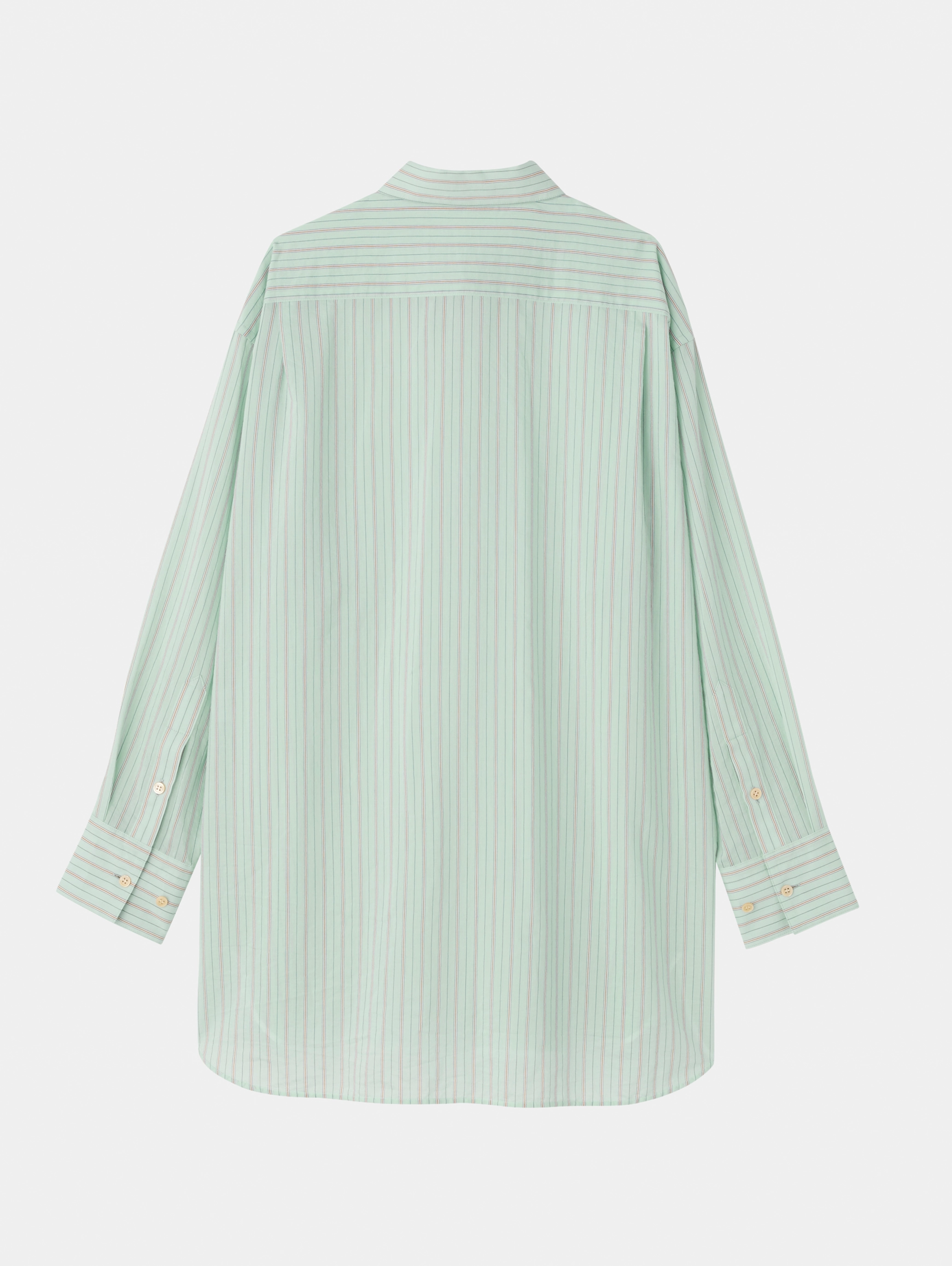 Sheer Shirt